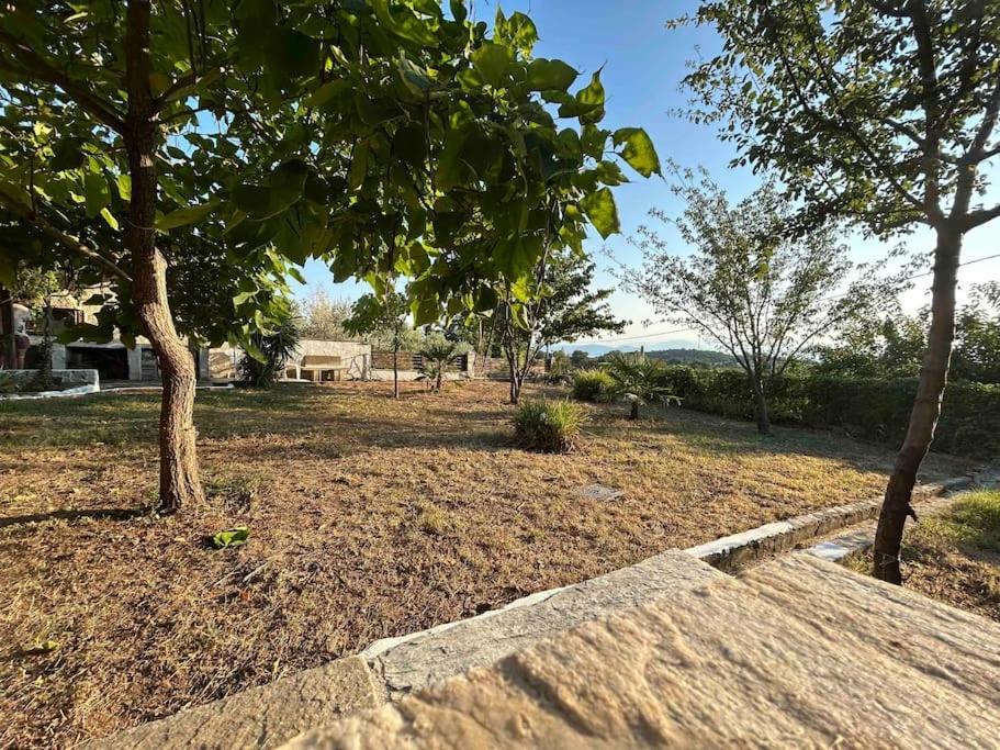 Yourlittlemiracle-Panoramicview+Firepit+Garden+Bbq Argalasti Esterno foto